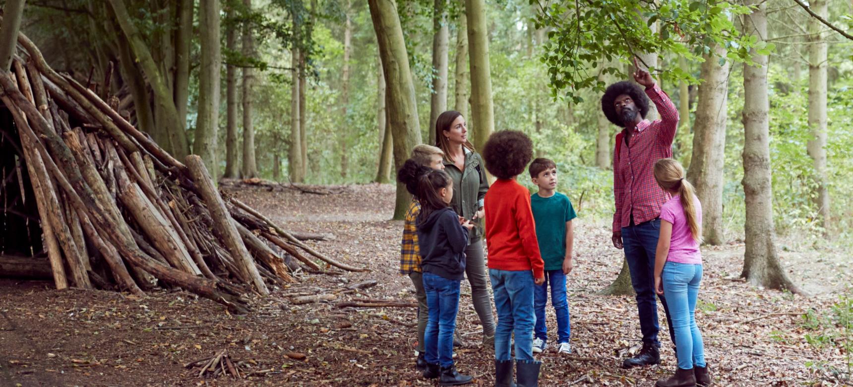 Groep kinderen met leraar in bos