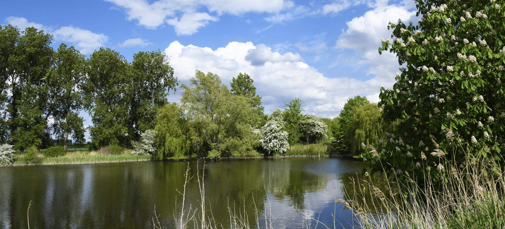 Dijken Zak van Zuid-Beveland (gemaakt door Aart van Belzen)