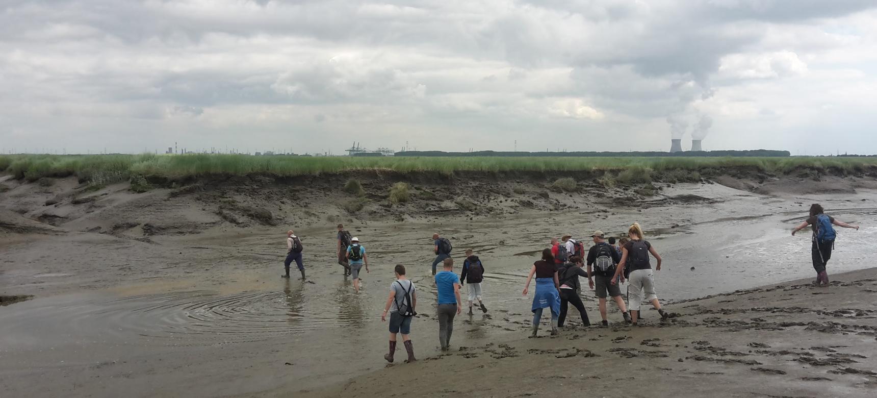 Bezoekers volgen de excursie door het Verdronken Land van Saeftinghe met een gids (gemaakt door Provincie Zeeland)