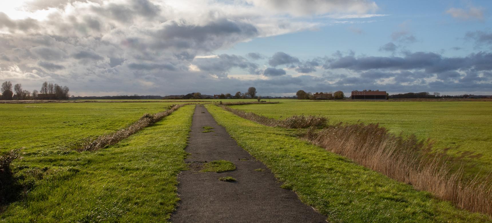 Oudland met poelgebieden en kreekruggen, Walcheren (gemaakt door Marcelle Davidse)