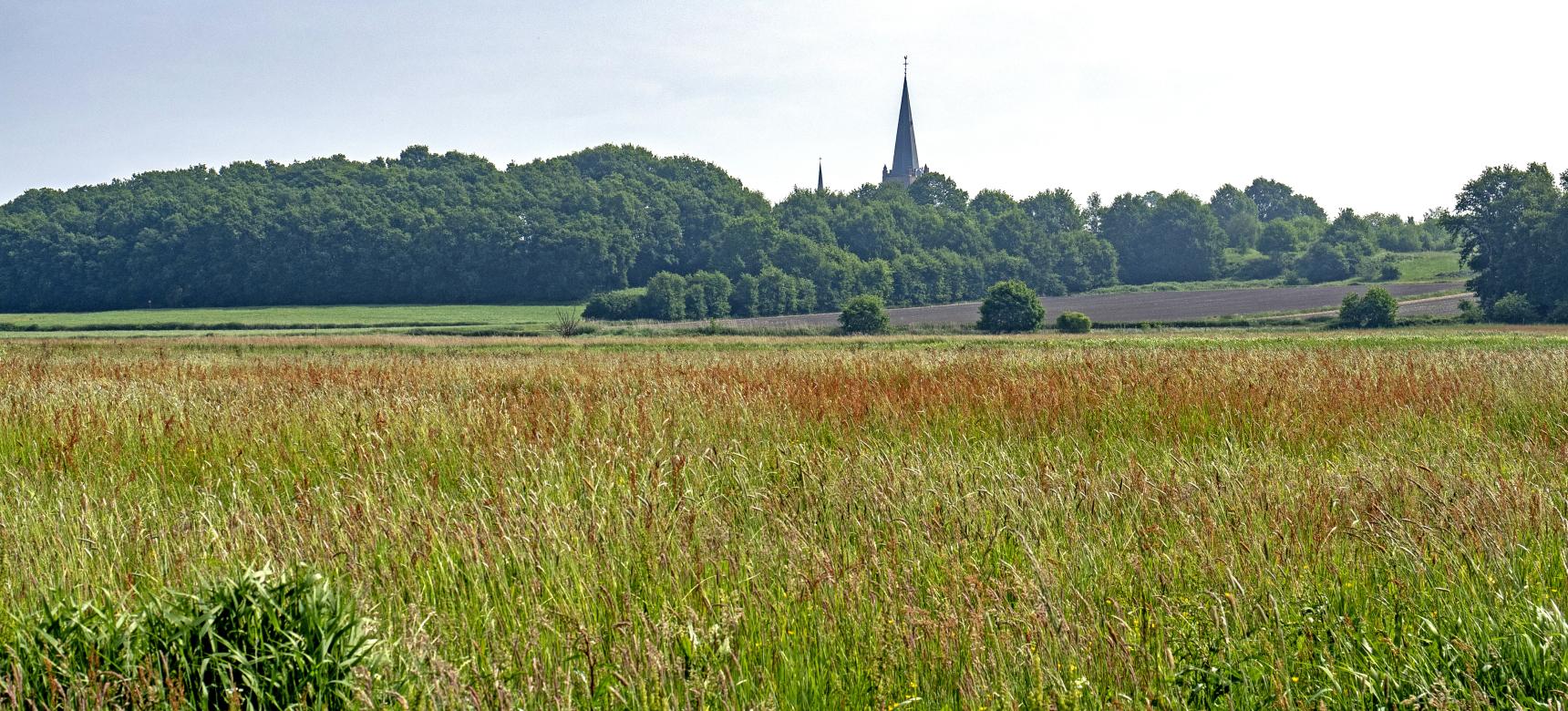 Noordpolder, overgangsgebied dekzand- naar zeekleilandschap (gemaakt door Piet Bout)