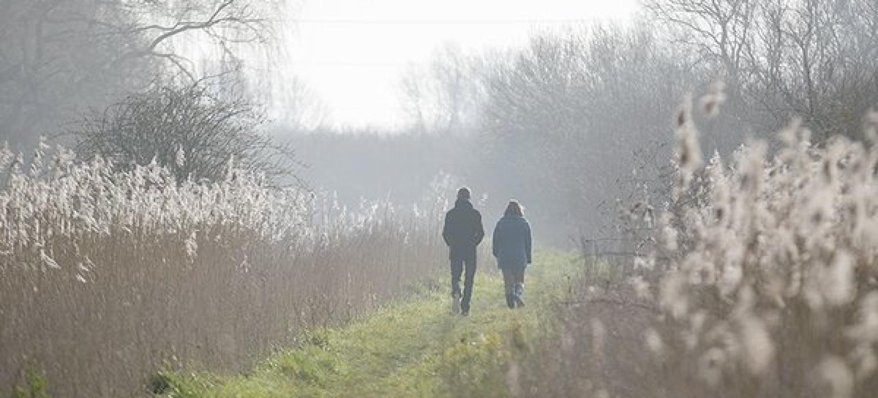 Foto mistig gebied in Waasland