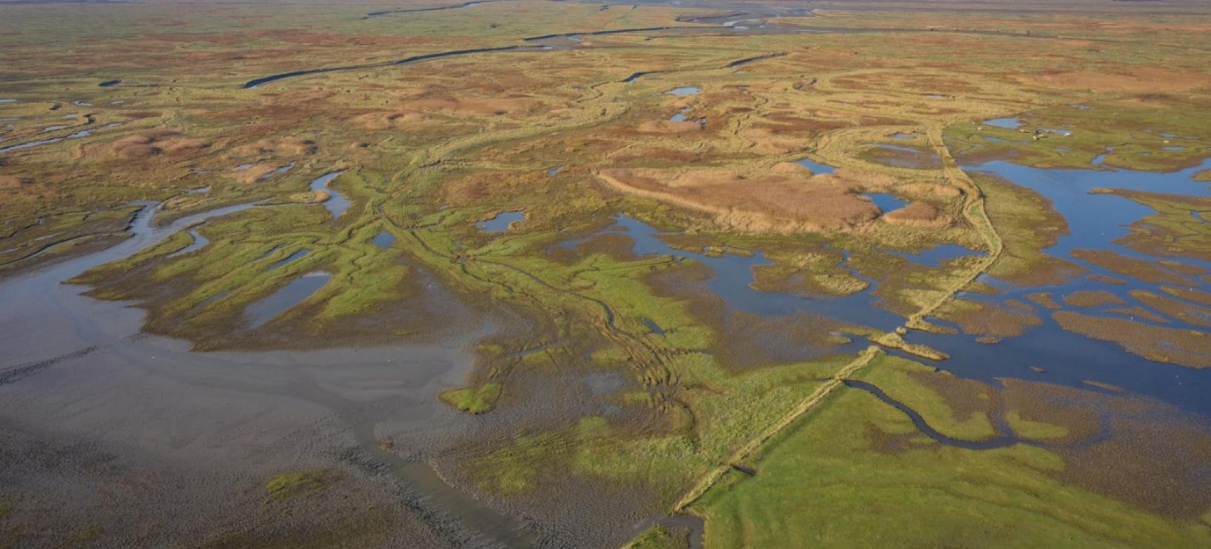 Verdronken Land van Saeftinghe