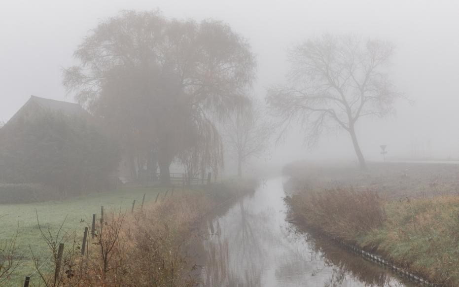 Mist op het oudland met poelgebieden en kreekruggen (gemaakt door Marcelle Davidse)