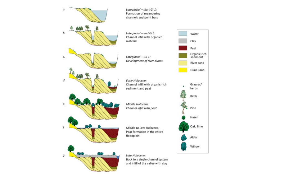 Schematic evolution of landscape and vegetation development in the Lower Scheldt Valley 