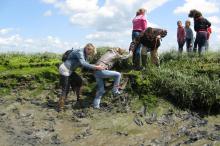 Wandelaars door de schorren van Sint-Annaland in Tholen Geopark Schelde Delta