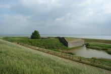 Overzichtsfoto van de dijk op Fort Ellewoutsdijk