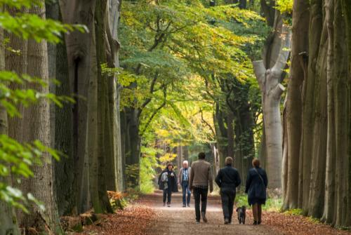 Wandelende mensen op Gorp de Leij - Brabants Landschap