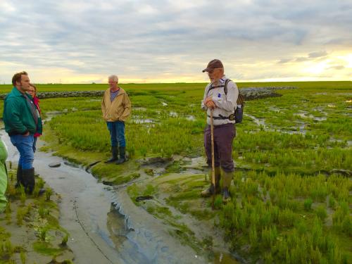 Avontuurlijke natuurtocht door Het Verdronken Land van Zuid-Beveland