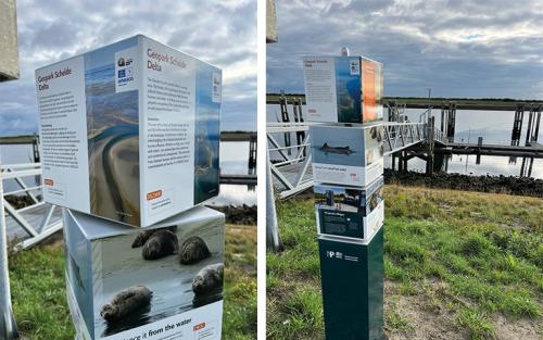 Bebording NP Oosterschelde