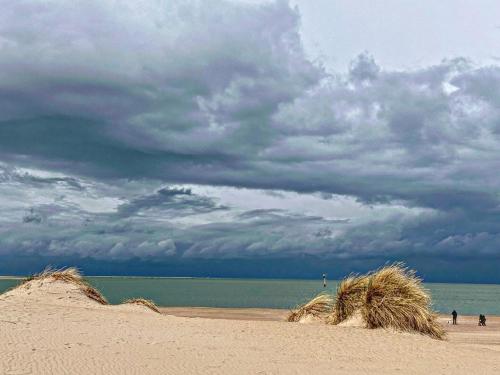 Ecomuseum strand