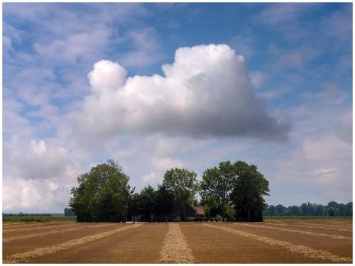 Ecomuseum wolk
